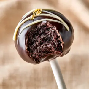 A vertical macro close-up of a single gourmet chocolate cake pop with a bite taken out revealing a moist fudgy center. (Chocolate cake pops)