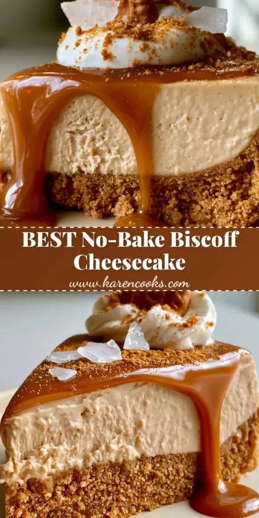 Biscoff salted caramel cheesecake: The Ultimate No-Bake Speculoos Indulgence 4 A tall slice of Biscoff salted caramel cheesecake with a glossy amber caramel drip, a whole Biscoff biscuit, and flakes of Maldon sea salt on a ceramic plate.